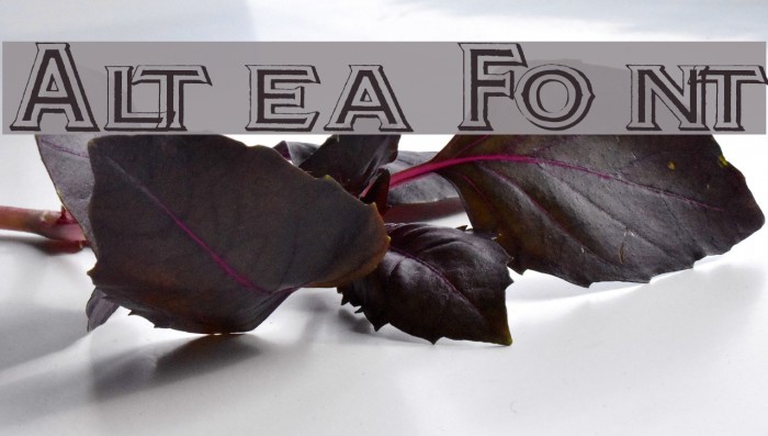 Altea Font examples