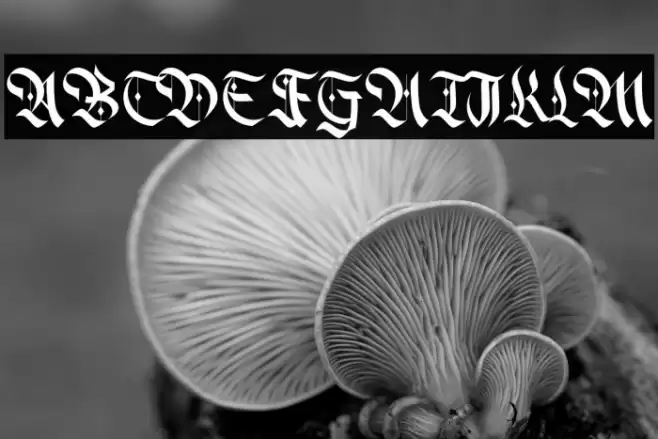 Alter Bridge Caratteri examples