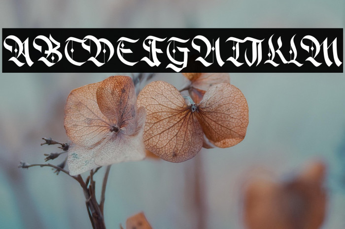 Alter Bridge Example 2