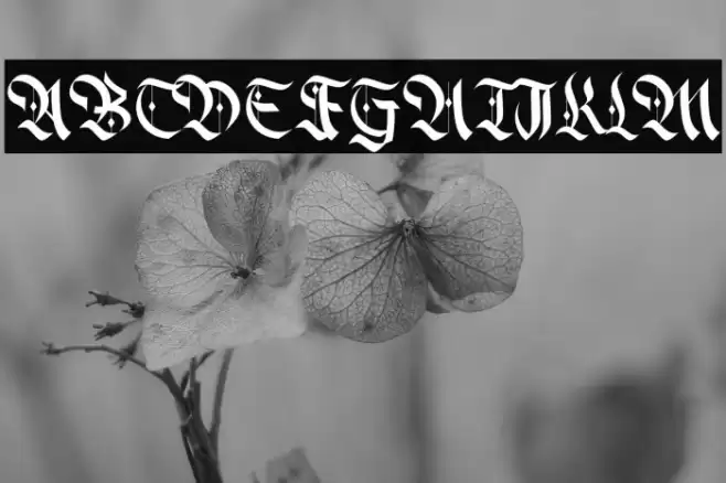 Alter Bridge Caratteri examples