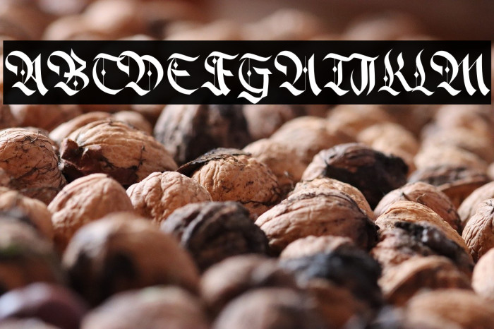 Alter Bridge Example 3