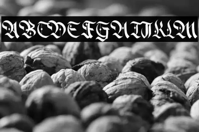 Alter Bridge Caratteri examples