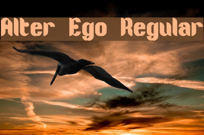 Alter Ego Regular Font examples