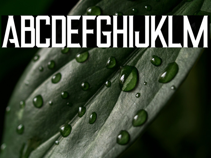 Alter Regular Example 1