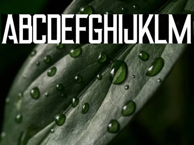 Alter Regular Example 1