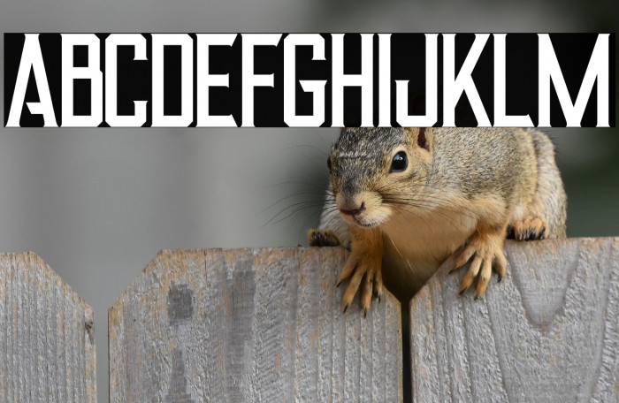 Alter Regular Example 3