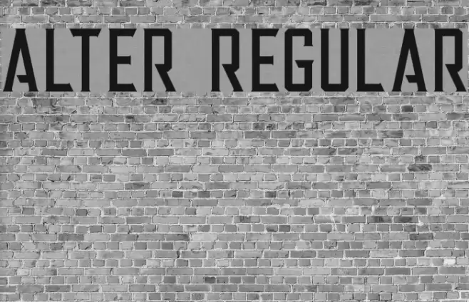 Alter Regular Font examples