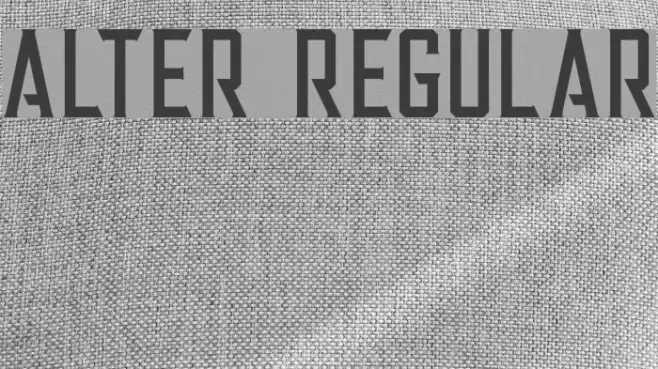 Alter Regular Font examples