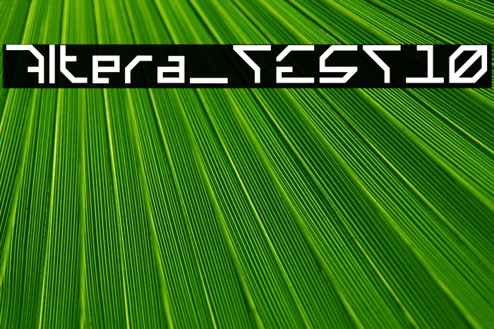 Altera_TEST10 Example 1