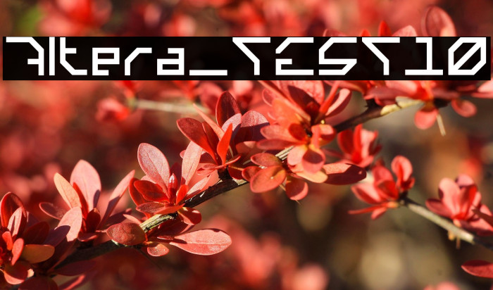 Altera_TEST10 Example 3