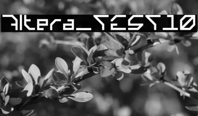 Altera_TEST10 Font examples