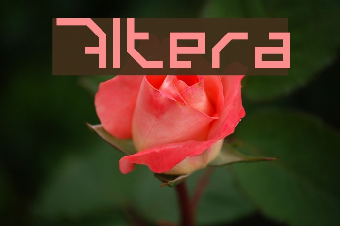 Altera Font examples