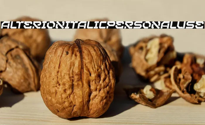 Alterion Italic Personal Use Example 2