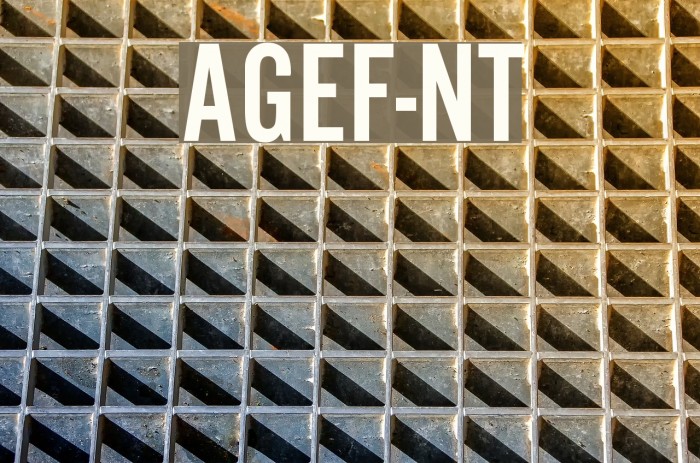 AlternateGothicEF-NoTwo Font examples