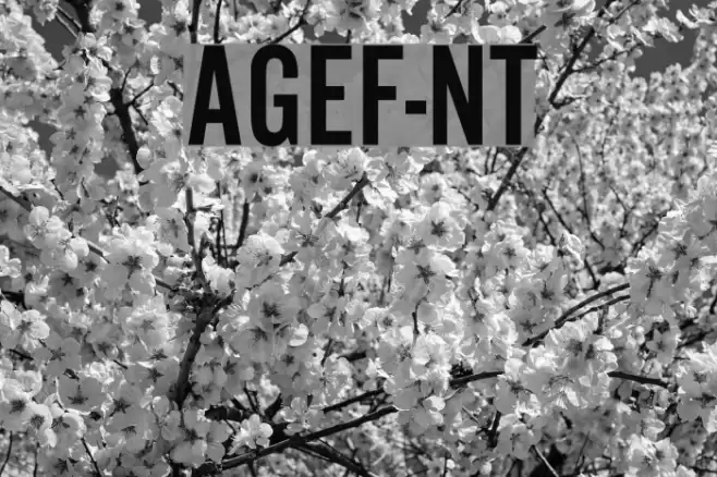 AlternateGothicEF-NoTwo Font examples