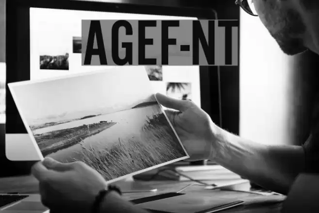 AlternateGothicEF-NoTwo Font examples