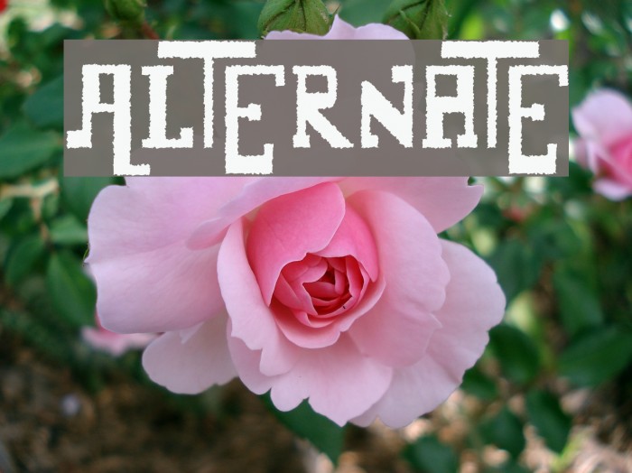 Alternate Font examples