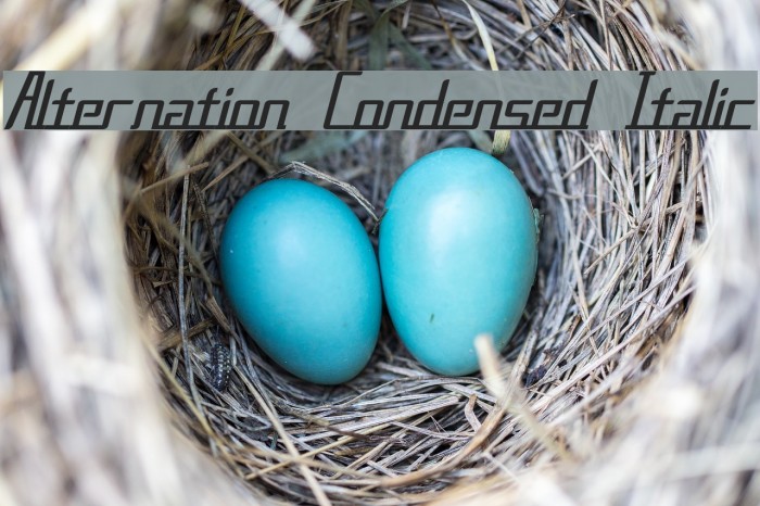 Alternation Condensed Italic Font examples