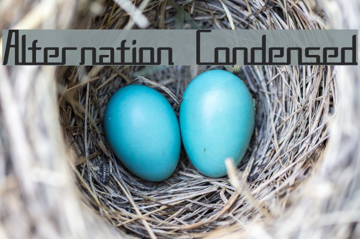 Alternation Condensed Font examples