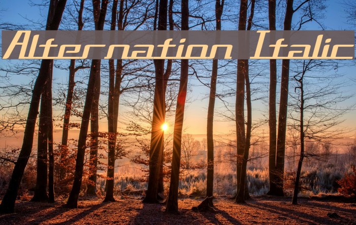 Alternation Italic Font examples