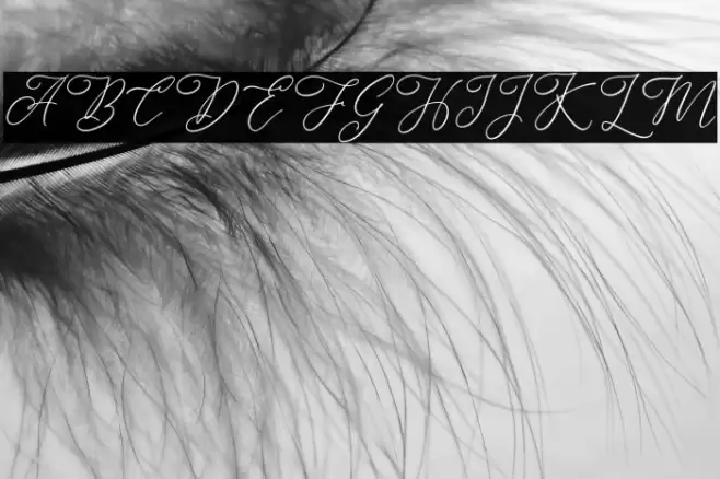 AlternationFREE Font examples