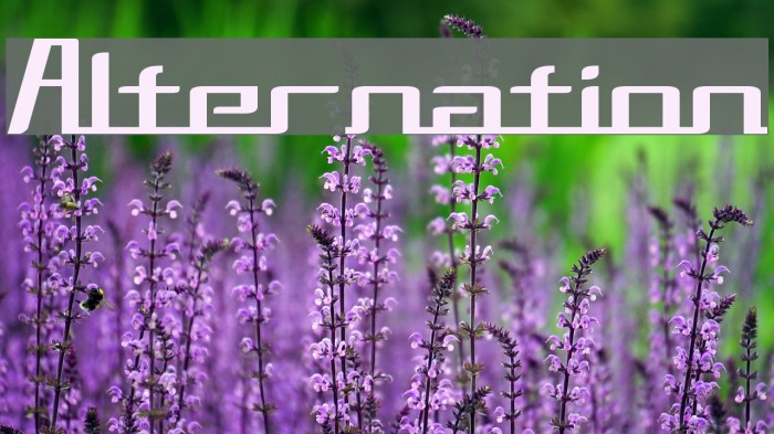 Alternation Font examples