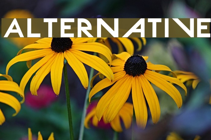 Alternative Font examples