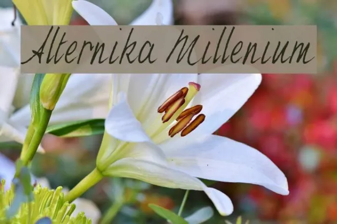 Alternika Millenium Example 1