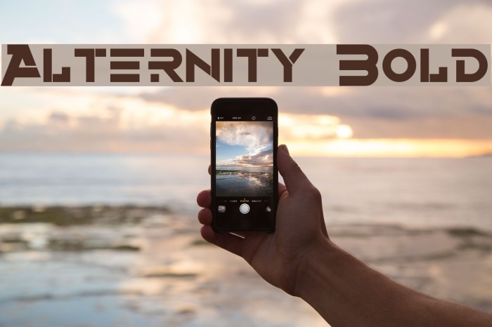 Alternity Bold Font examples