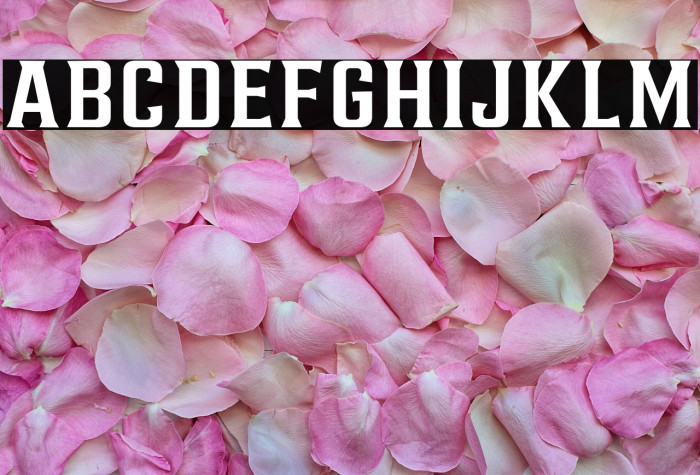 AlterousText Example 1