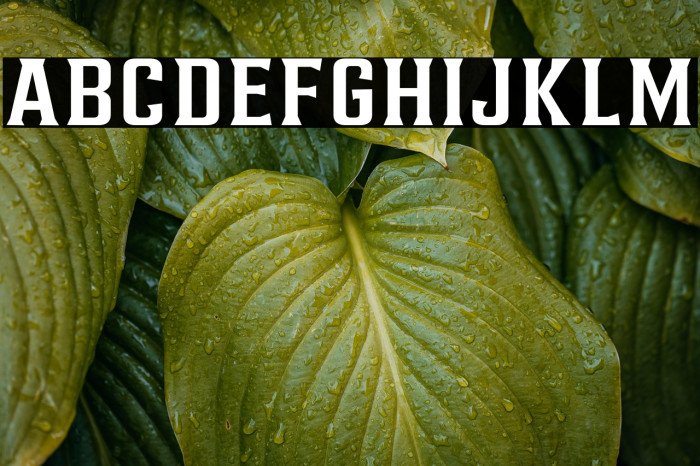 AlterousText Example 2