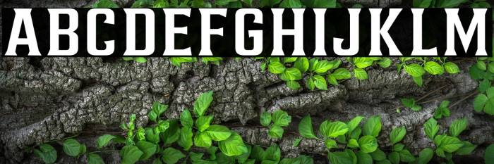 AlterousText Example 3