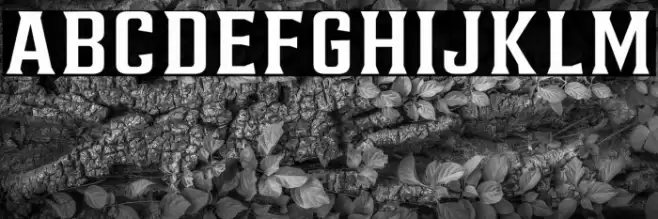 AlterousText Font examples