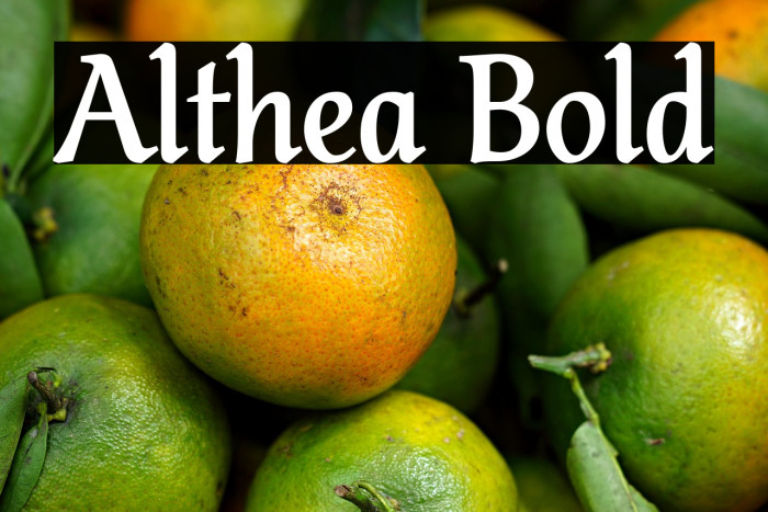 Althea Bold Example 1