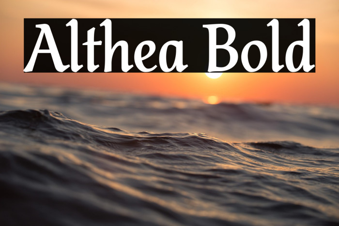 Althea Bold Example 3