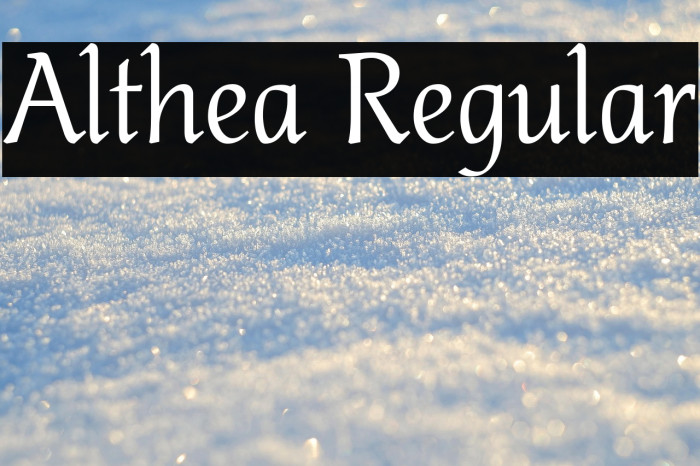 Althea Regular Example 2