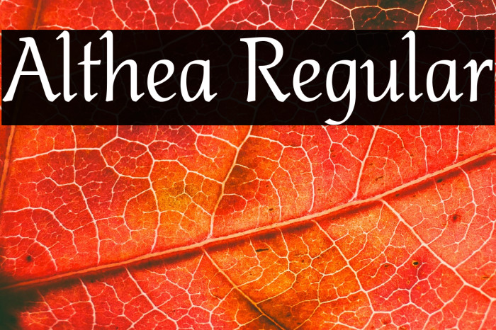 Althea Regular Example 3