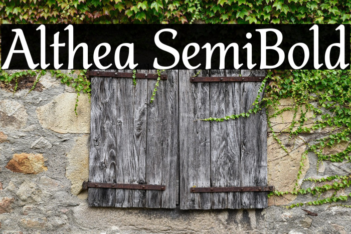 Althea SemiBold Example 1