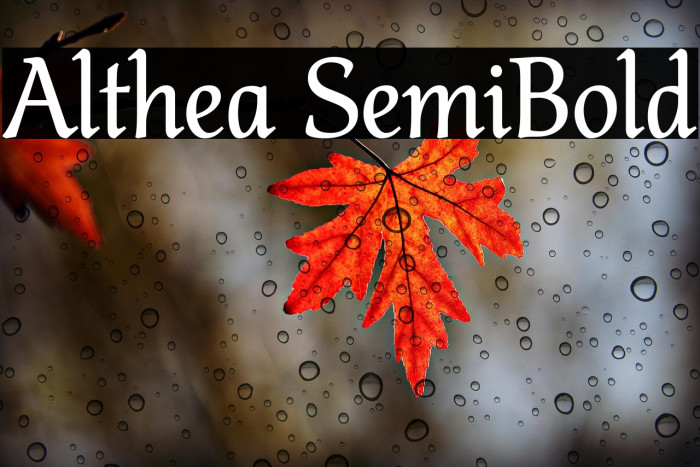 Althea SemiBold Example 3