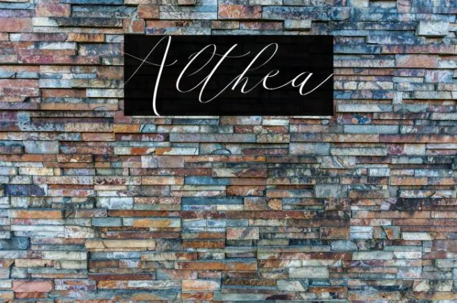 Althea Example 1