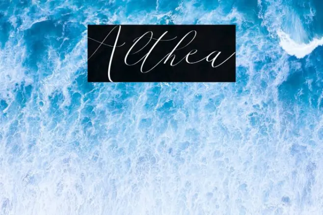 Althea Example 2
