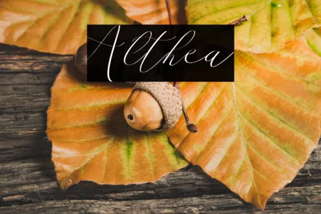 Althea Example 3