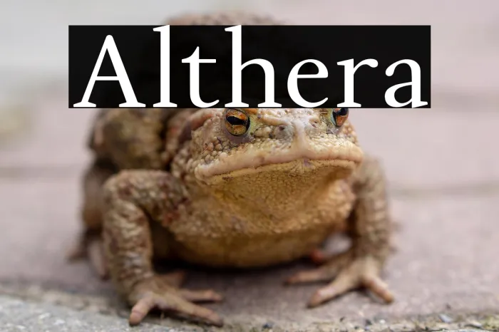 Althera Example 2