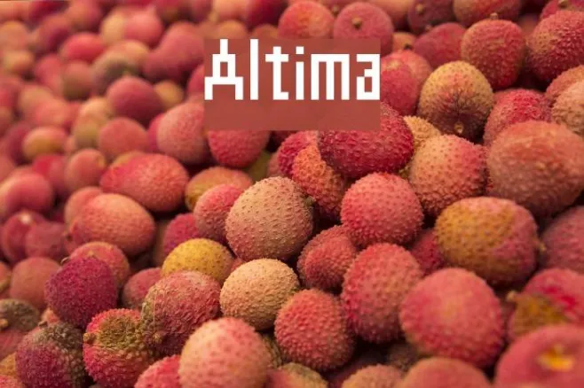 Altima Example 2