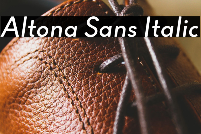 Altona Sans Italic Example 3