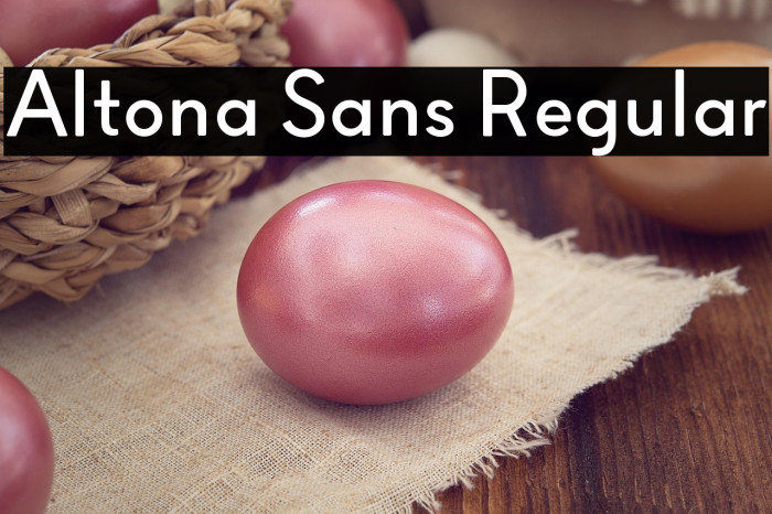 Altona Sans Regular Example 1