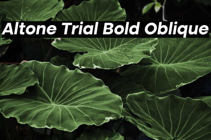 Altone Trial Bold Oblique Example 1