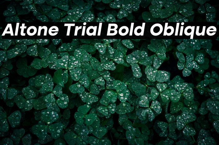 Altone Trial Bold Oblique Example 2