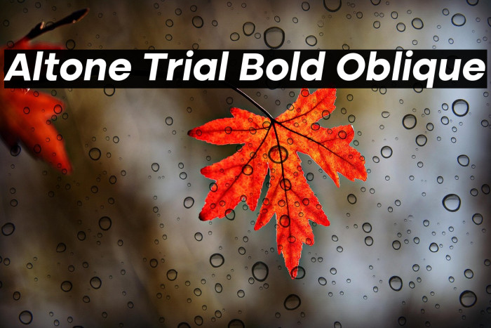 Altone Trial Bold Oblique Example 3