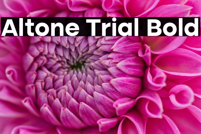 Altone Trial Bold Example 2